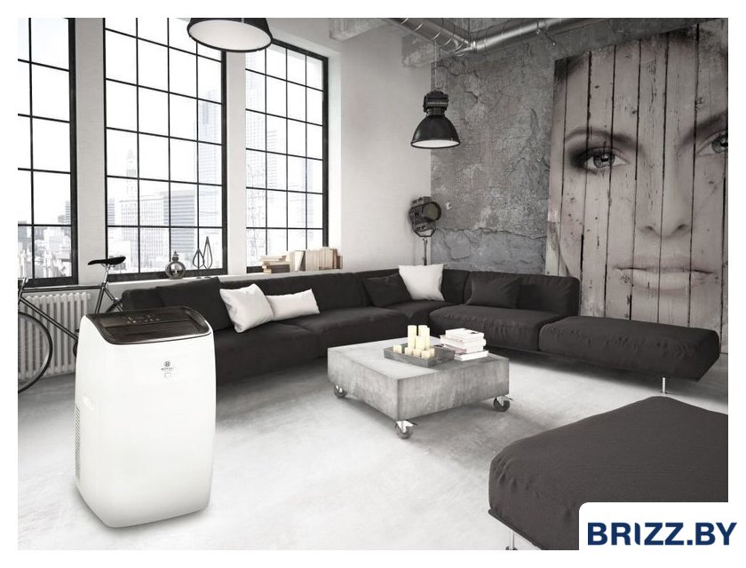 Мобильный кондиционер Royal Clima Largo Pro RM-LP50CN-E - Изображение №10 — Продажа и установка кондиционеров brizz.by